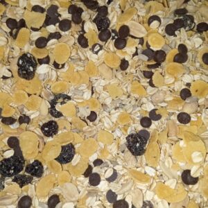 Granola Chispas de Chocolate | Disponible en 1kg, 500g, 250g