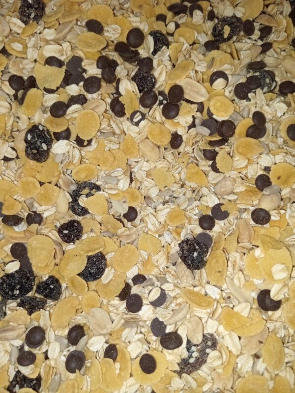 Granola Chispas de Chocolate | Disponible en 1kg, 500g, 250g